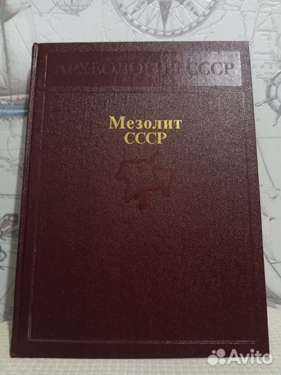 Мезолит (Археология СССР)