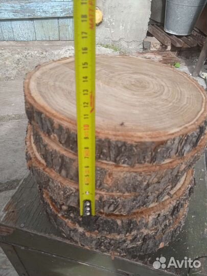 Спилы карагач