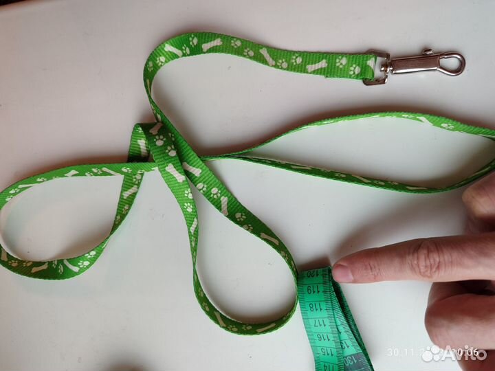 Шлейка с поводком и зимняя курточка для собаки