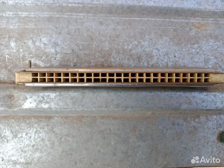 Губная гармошка