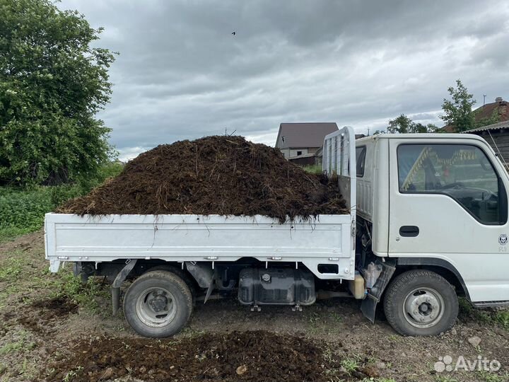 Торф, перегной, чернозем