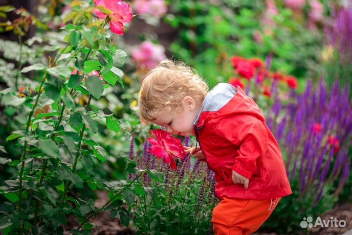 Ветровка унисекс детская