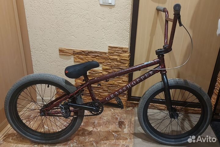 Bmx tech team grasshopper