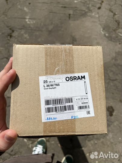 Лампа люминесцентная osram Basic L36W/765