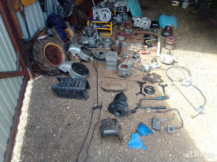 На мотороллер муравей