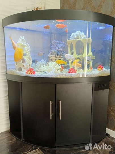 Аквариум 350 литров с тумбой и рыбками