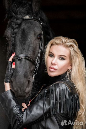 Фотосессии с лошадьми. Фотосессии с Фризом