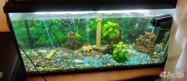 Аквариум 200 литров