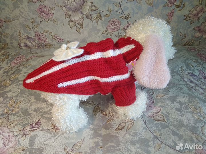 Одежда для собак в наличии и на заказ