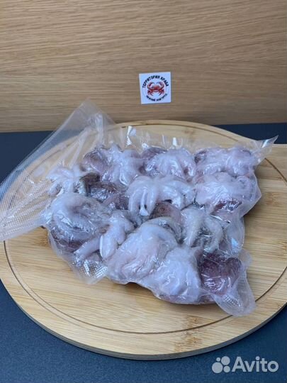 Осьминоги молодые