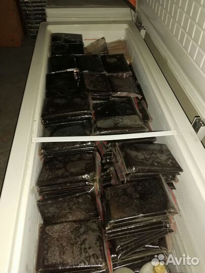 Корм для аквариумных рыб