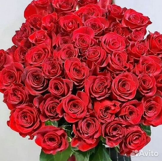 101 Роза Цветы Букеты 51 25 Роз Доставка
