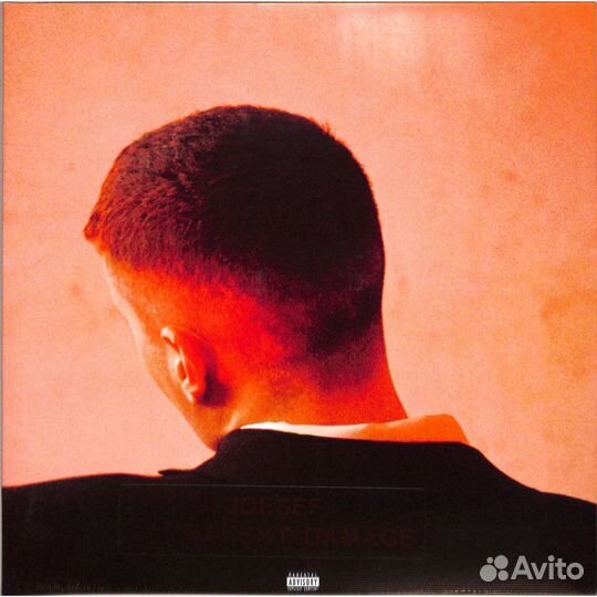 Joesef - Permanent Damage (LP)