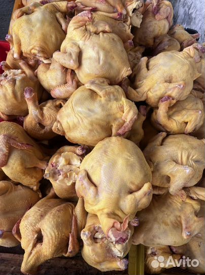 Куры тушки Халяль