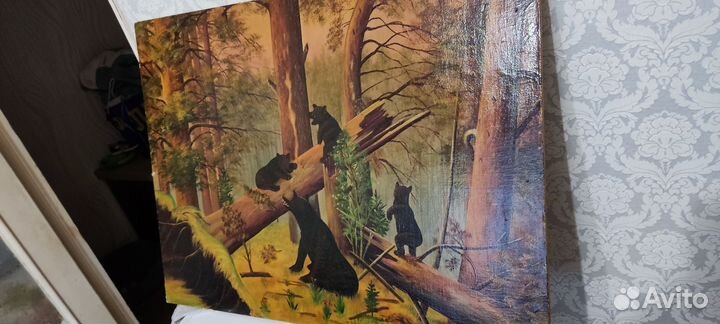 Утро в сосновом лесу