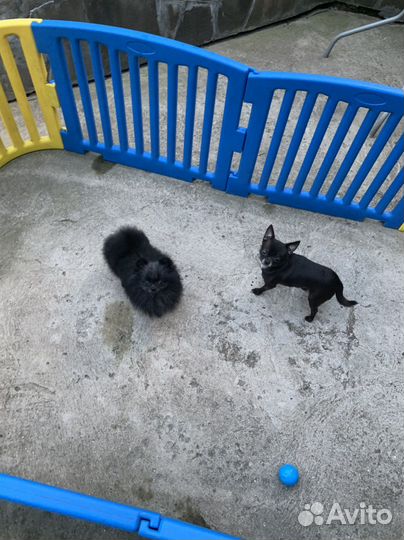 Миники готового размера