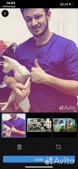 Ветерианар на дом стерилизация усыпление