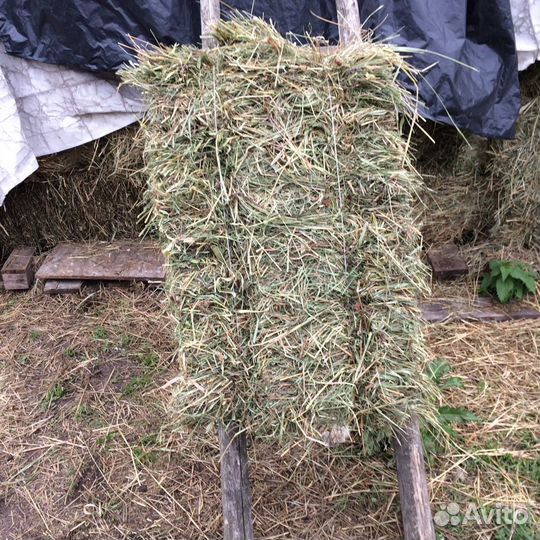 Сено в кипах