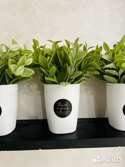 Искусственные растения, осока