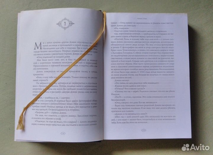 Путешествие домой, Радханатха Свами