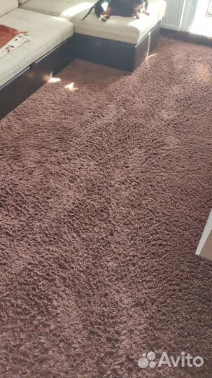 Ковер Шегги