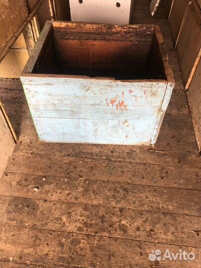 Пчелопавельон