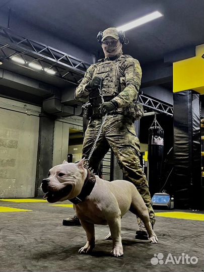 Розыгрыш маски шоу со спецназом