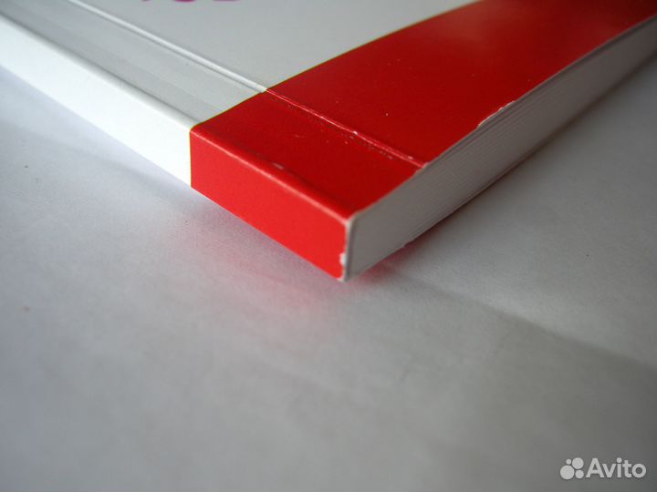 Партийные войска особого назначения 1919-1923