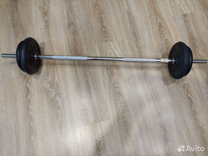 Штанга с блинами