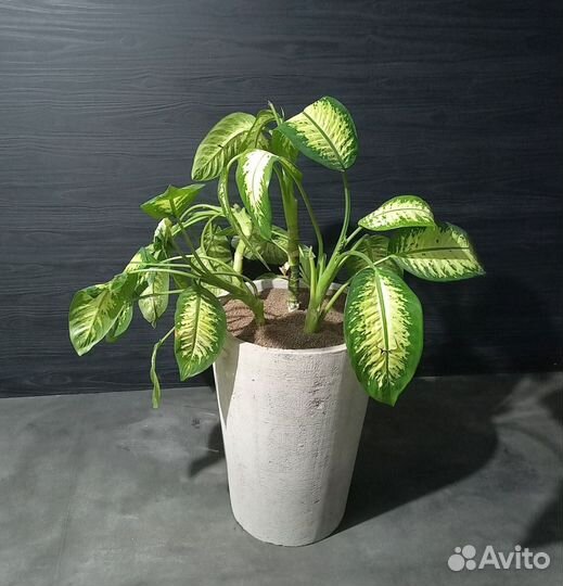 Горшки, Вазоны, Кашпо под заказ из бетона арт 154