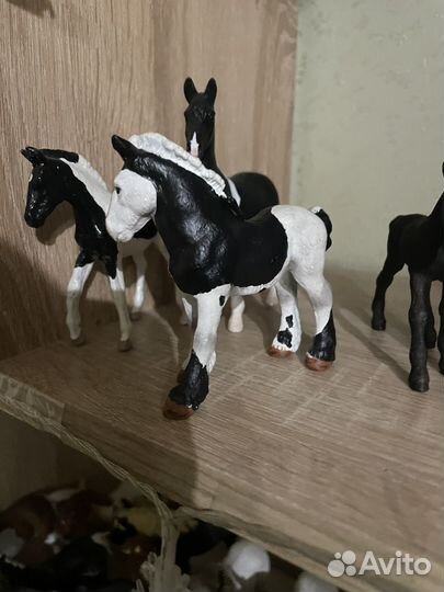 Лошади шляйх schleich