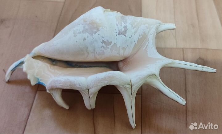 Декорации для аквариума