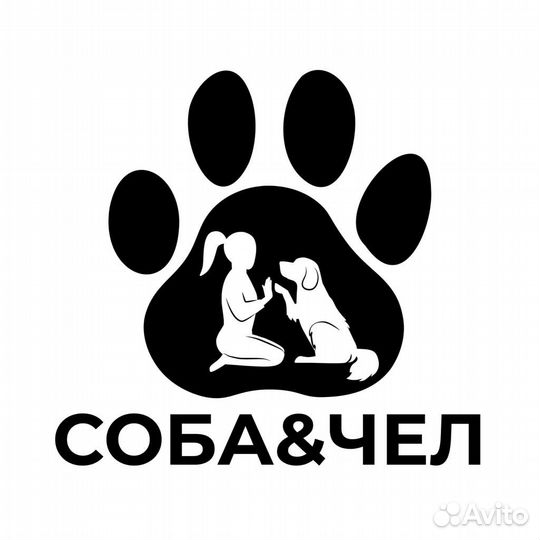 Кинолог, зоопсихолог, хендлер, дог-фитнес тренер