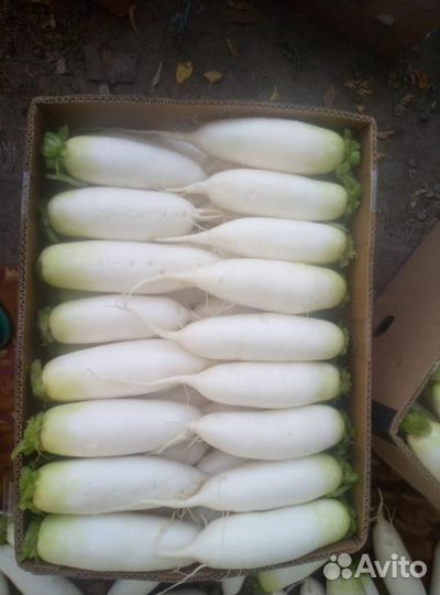 Продукты питания оптом