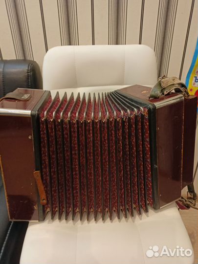 Гармонь шуйская