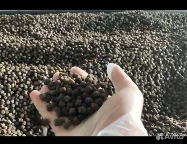 Корм для рыб форель осетр сом