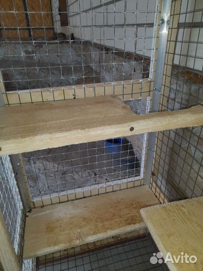 Клетка для грызунов