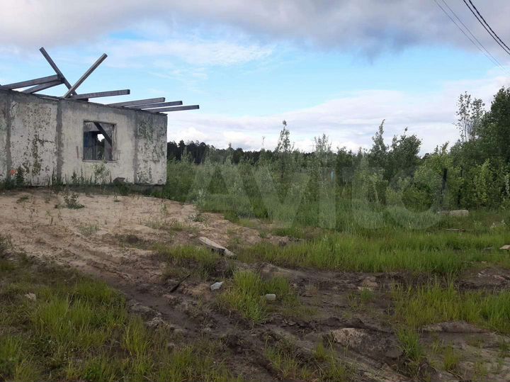 Участок 13,7 сот. (СНТ, ДНП)