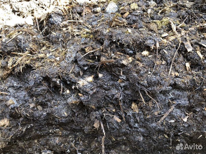 Отборный конский навоз с доставкой