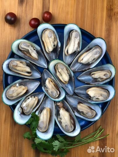 Мидии оптом