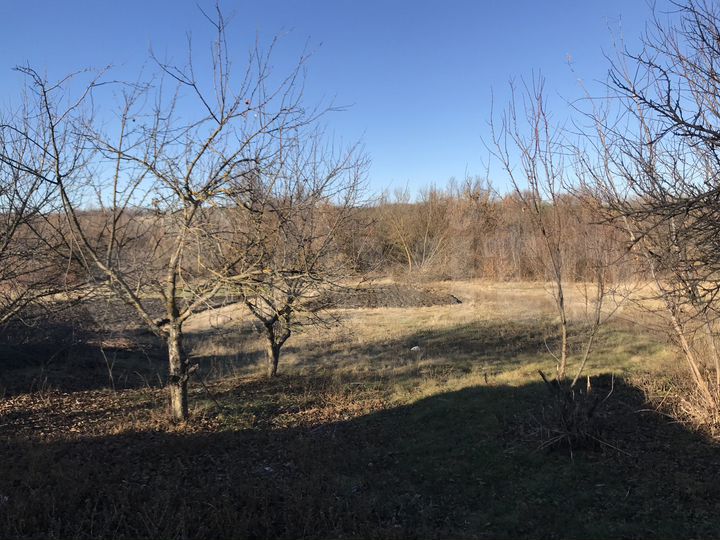 Дом 55,1 м² на участке 19,6 сот.