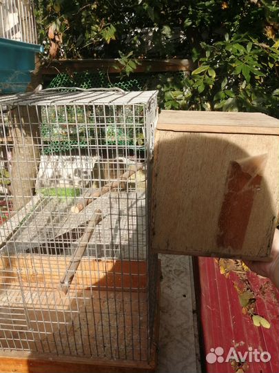 Большая клетка для птиц