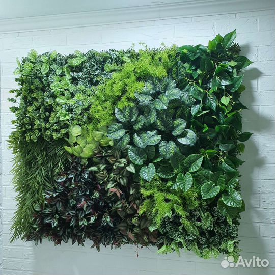 Фитостена вертикальное озеленение