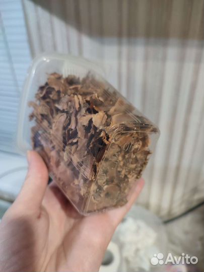 Перегородки грецких орехов