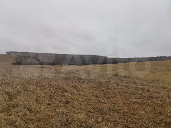 Участок 12 га (СНТ, ДНП)