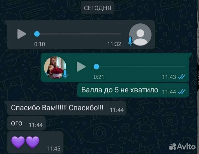 Репетитор по русскому языку