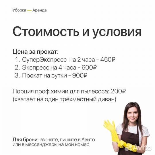 Аренда моющего пылесоса Karcher Puzzi