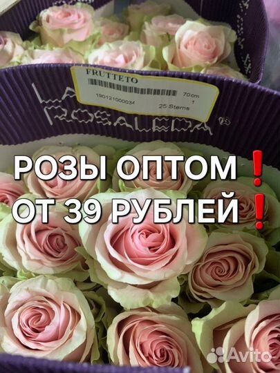 Розы опт Скопин