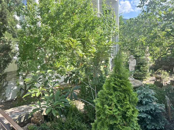 Комната 14 м², 1/3 эт.