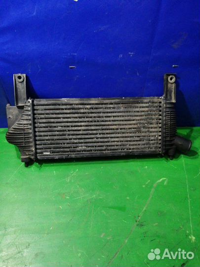 Интеркулер Nissan Pathfinder R51 YD25ddti 2009